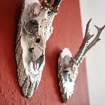 Hallstatt Dachstein Apartment