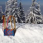 Hallstatt Dachstein Apartamento *