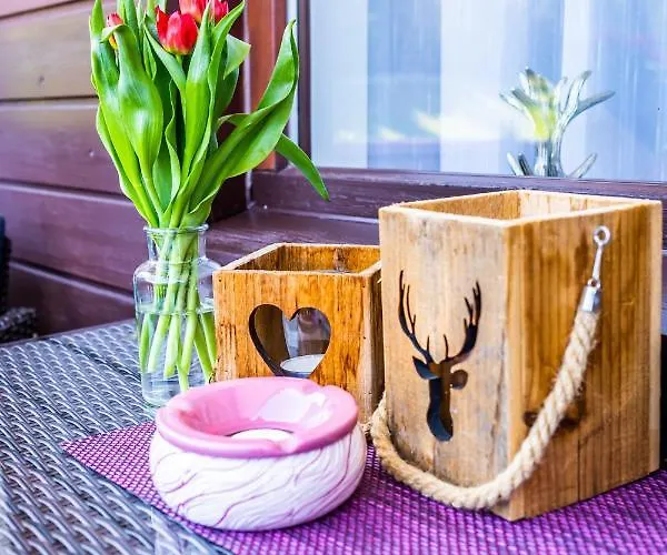 Hallstatt Dachstein Daire Gosau