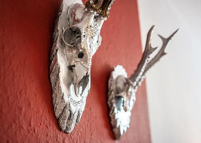 Hallstatt Dachstein Daire