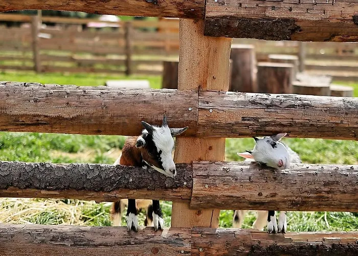 Daire Hallstatt Dachstein