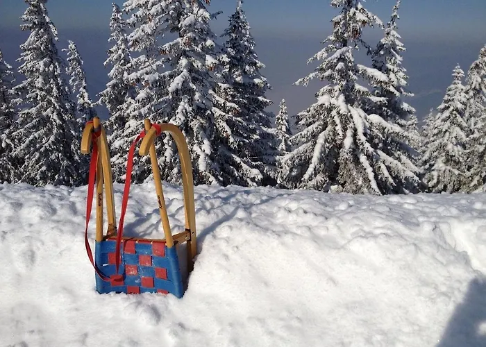 Hallstatt Dachstein Daire *