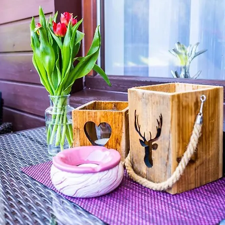 Hallstatt Dachstein Apartament Gosau