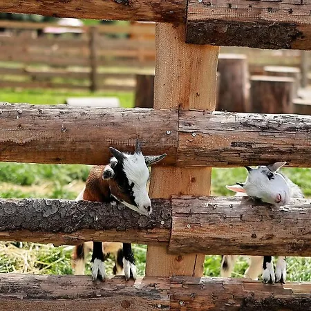 Apartament Hallstatt Dachstein