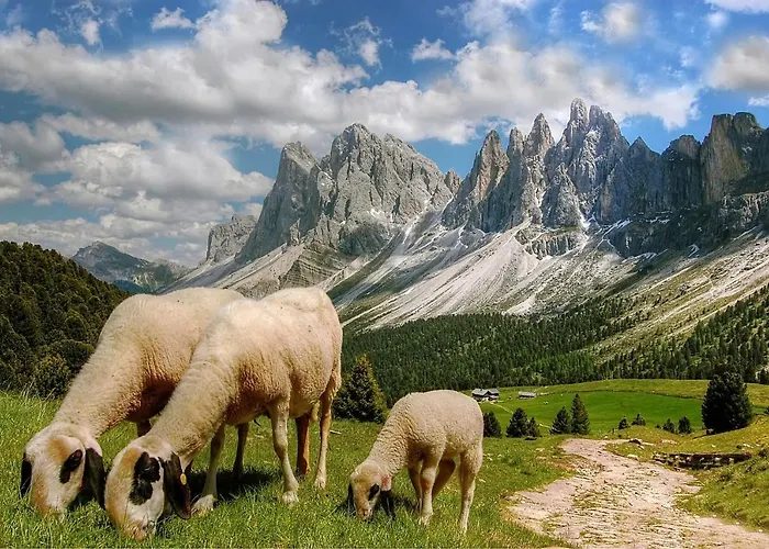 Apartment Hallstatt Dachstein *